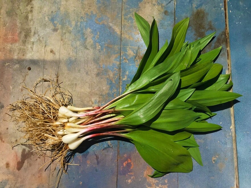RAMPS, The Applewood Manor